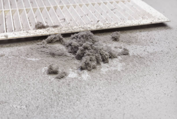 Best Home Air Vent Cleaning  in Toast, NC